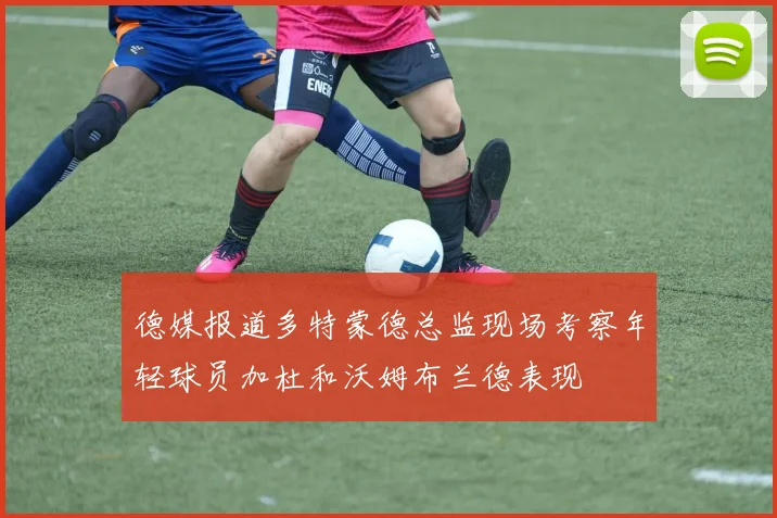 德媒报道多特蒙德总监现场考察年轻球员加杜和沃姆布兰德表现